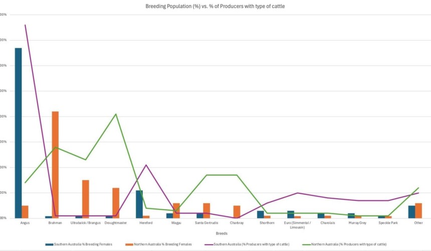 Beef breed popularity trends since 2016
