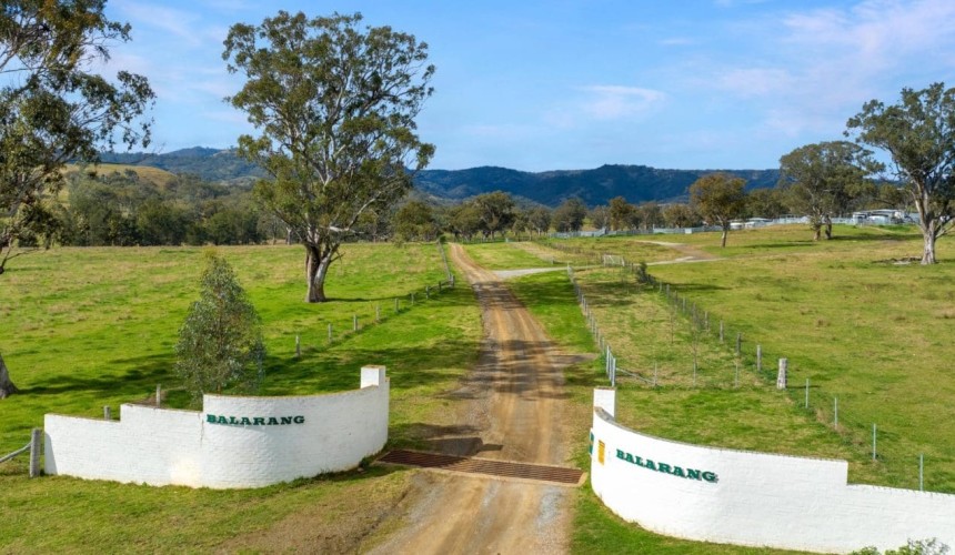 Weekly property review: Recently completed sales