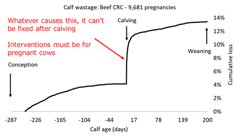 Testing results show unexpected low pregnancy rates in the north