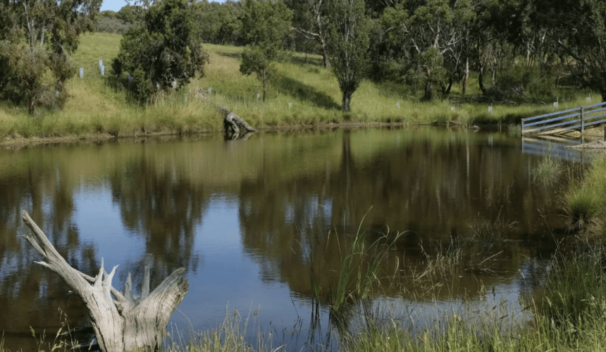 Better dams offer major benefits to farmers and livestock