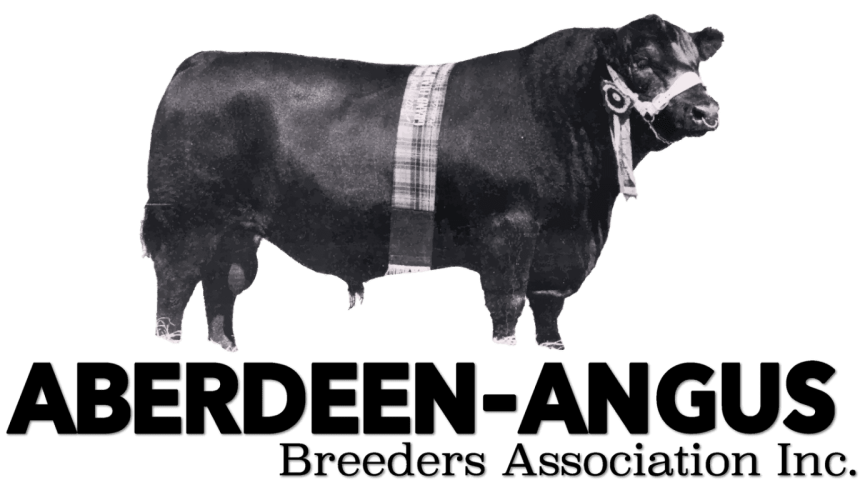 New Angus group aims to protect breed from North American genetic influence