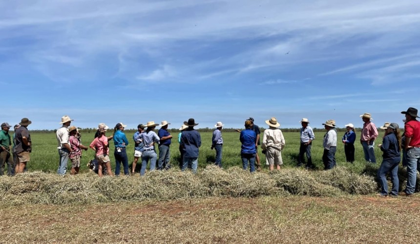 Project working to improve Australia’s grazing pastures gains year-long extension