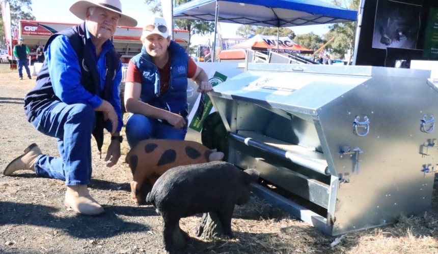 On-farm innovation: Feral pig baiting without risking other species