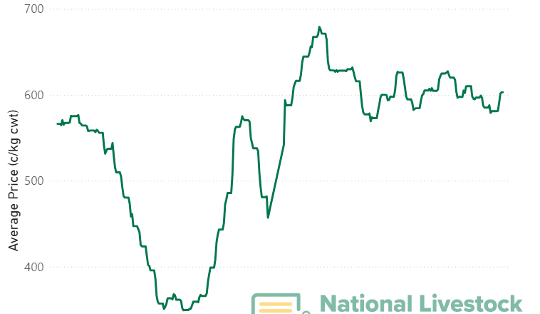 Stability persists as EYCI edges back above 600c