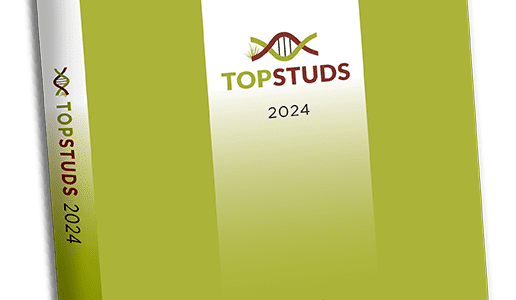 Top Studs 2024 report provides handy bull breeder selection guide