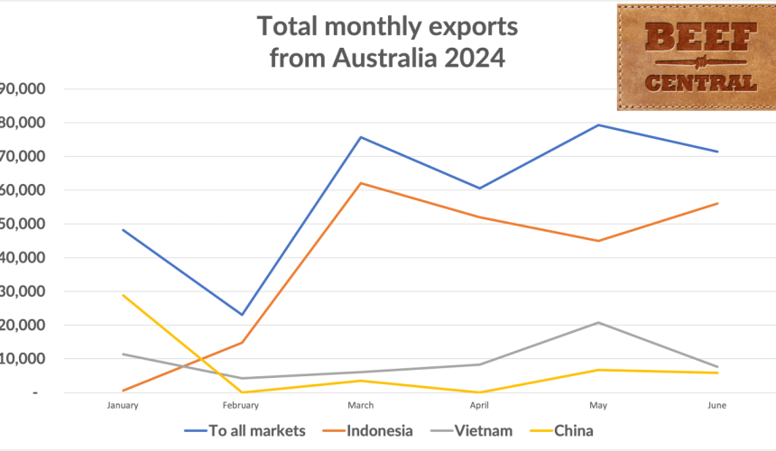 Live export market: First-half exports highest since 2020-21