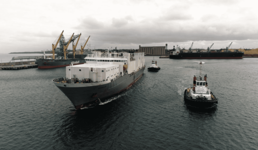 Wellard to sell one of its two remaining livestock carriers