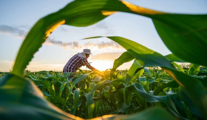 Australia needs a food-security strategy