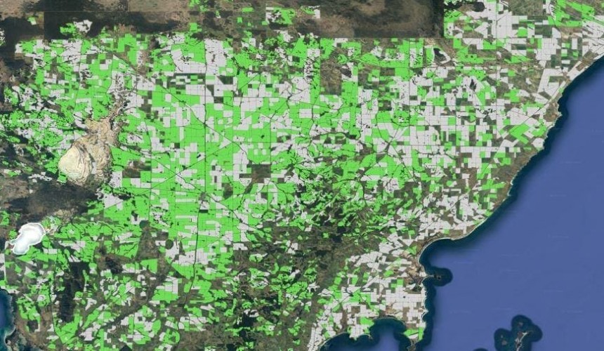 DAS platform poised to provide hay-grain split, harvest insights
