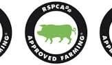 Pork and chicken industries share insight into a decade of RSPCA-approved