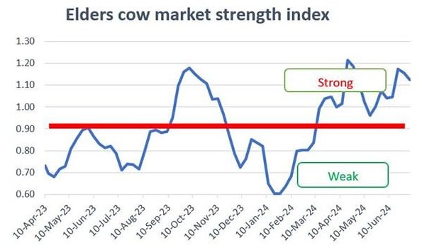 Cow markets strengthening, due to high US demand and solid processor margins