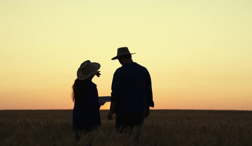 Farm surveys: ABARES will be round for a cuppa