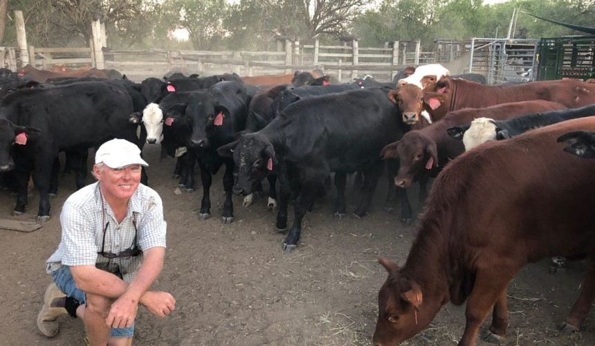 Posing a scientific question: Does it really take 10-12 years for methane to break down?