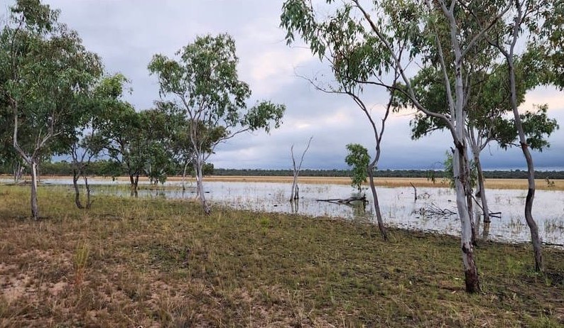 Call for resourcing as Qld Government talks up new National Parks