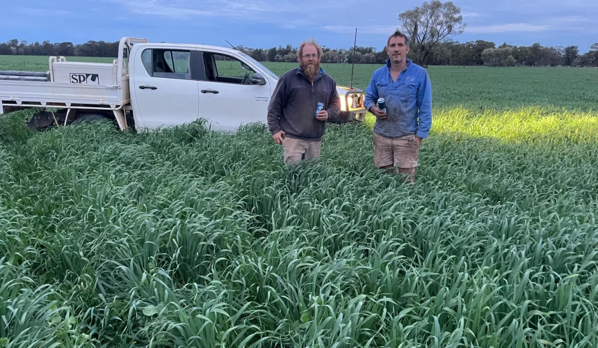 Hay growers rewarded across Australia