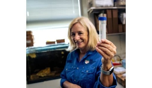 Calling all citizen scientists to learn more about groundwater