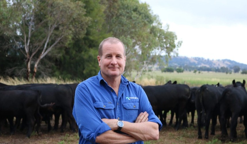 Pilot program hoping to help with EU deforestation regulations