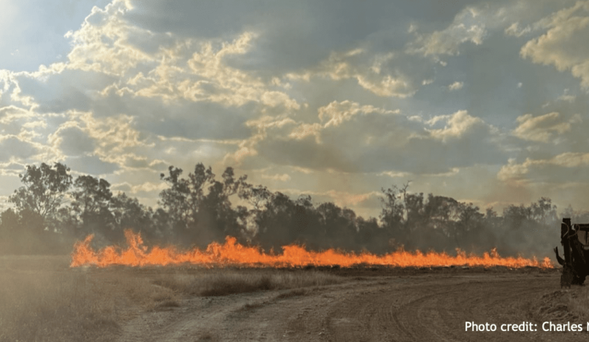 Fire in the landscape – Brisbane forum to spark conversation on future management
