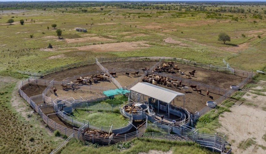 Weekly property review: Two key factors identified in foreign-owned farmland selloff  