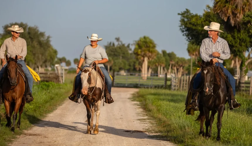 How a US conservation group is painting the full picture of livestock emissions