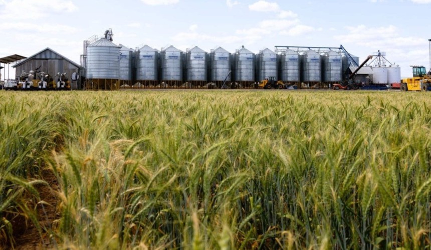 Govt to underwrite first shipments of fertilizer imports