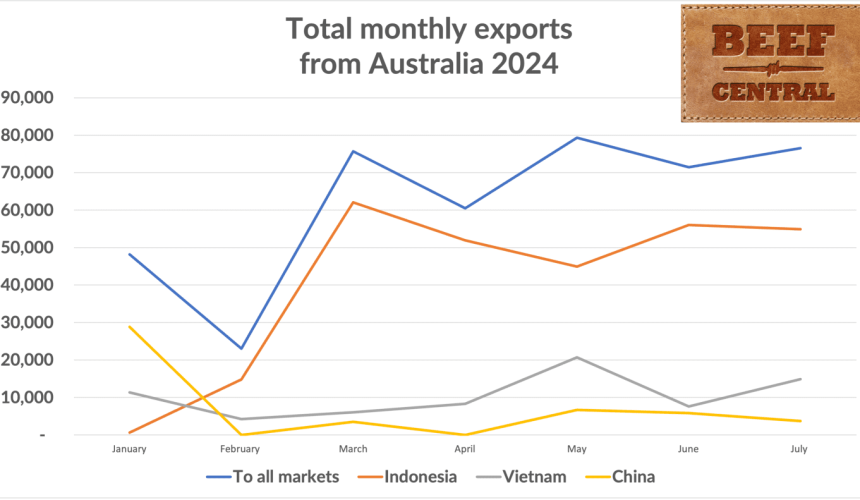 Live export market: Trade 21pc above last year