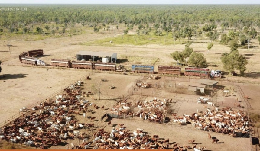 Vietnamese-owned Vermelha Station in the NT could make +$40m