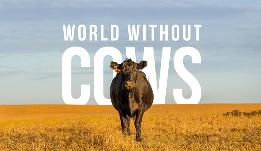 Documentary to look at what would happen in a world without cows + trailer