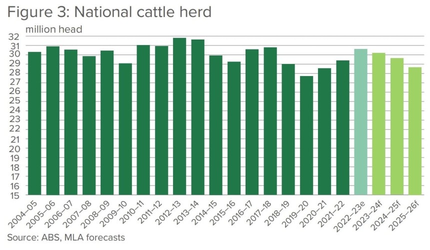 Cattle sector likely to reach production records in 2025, MLA’s Projections update suggests