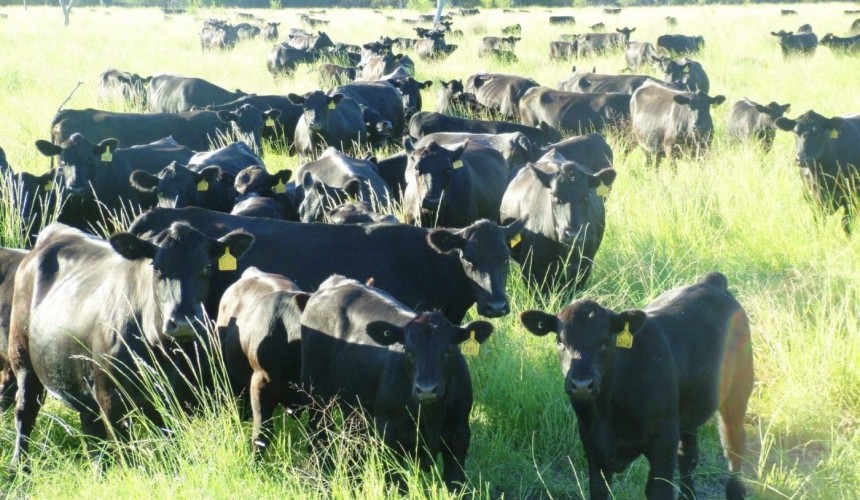 $6.4m grant to consolidate ag emissions accounting