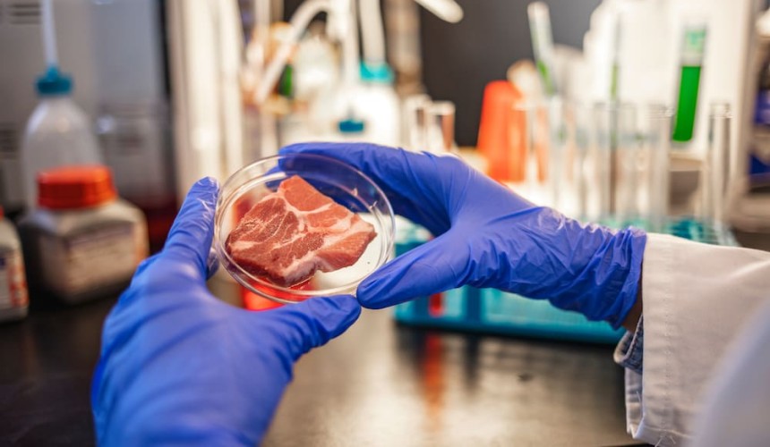 Food safety regulators from over 60 countries meet in Cairns