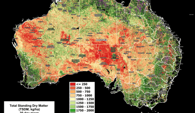 National Feedbase Summary 25 September 2024