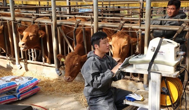 South Korea rocked by fourth Lumpy Skin Disease outbreak