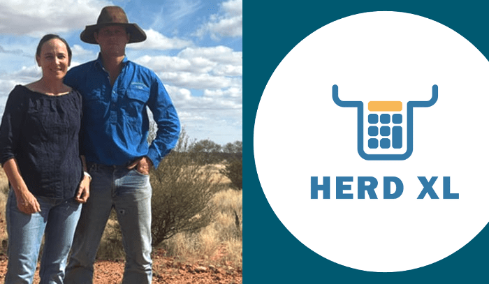 Cattle marketing app designed by cattle producers for cattle producers