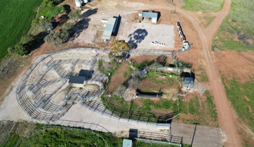 Infastructure boost for cattle research at Yanco Agricultural Institute