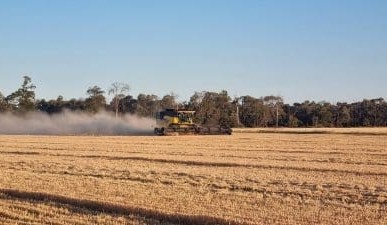 Feedgrain Focus: Northern harvest starts, frost stymies south