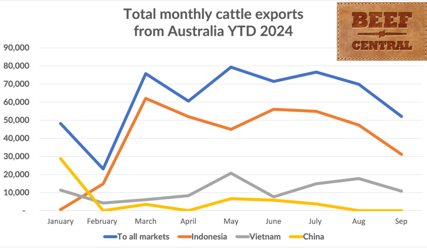 September cattle exports lift year-to-date total to 556,000 head