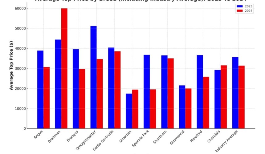 Bull market data analysis: Breed performance 2024 Vs 2023