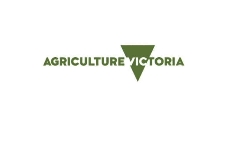 Farmer pleads guilty to animal cruelty, gets $10,000 fine