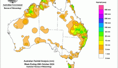 Weekly rainfall update + rainfall outlook 29 October 2024