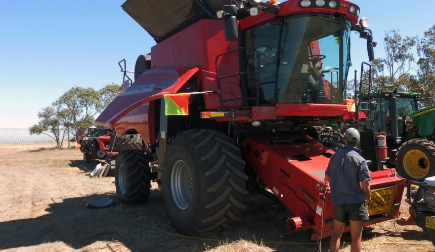Protecting NSW from parthenium weed spread this harvest
