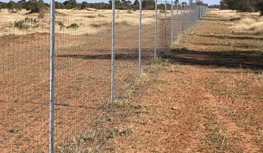 1500km of Qld cluster fencing on target for December completion