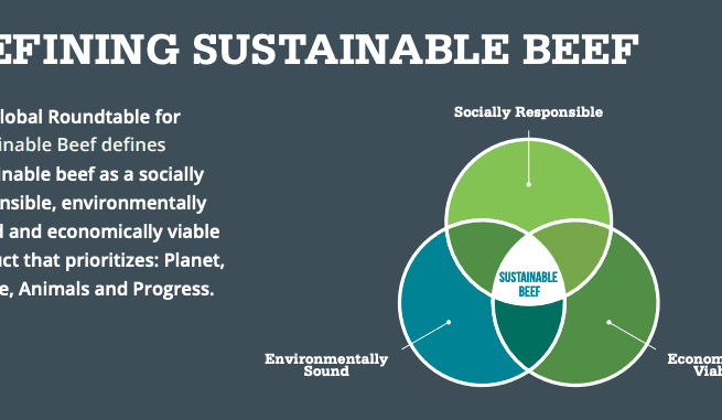 GRSB 2024: How cattle countries around the world are reporting beef sustainability