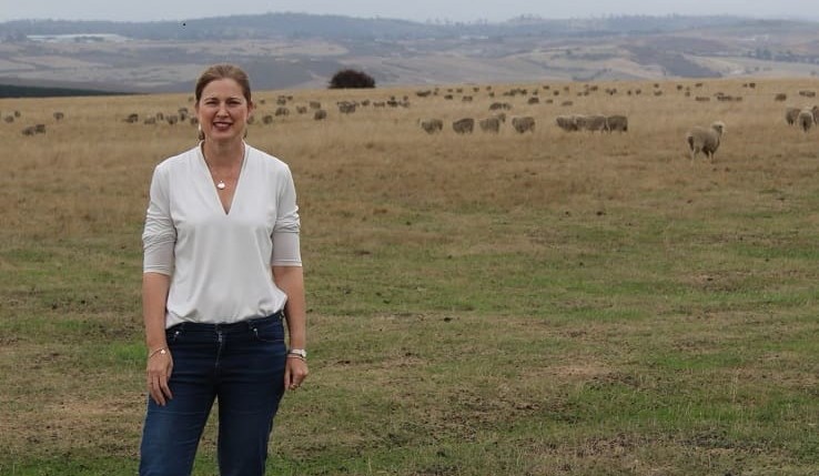 Government announces more than $100 million to fight avian influenza