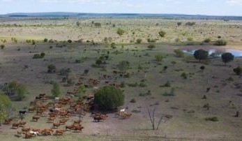 Movement at the station: Recent property listings in Qld