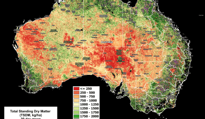 National Feedbase Summary 31 October 2024