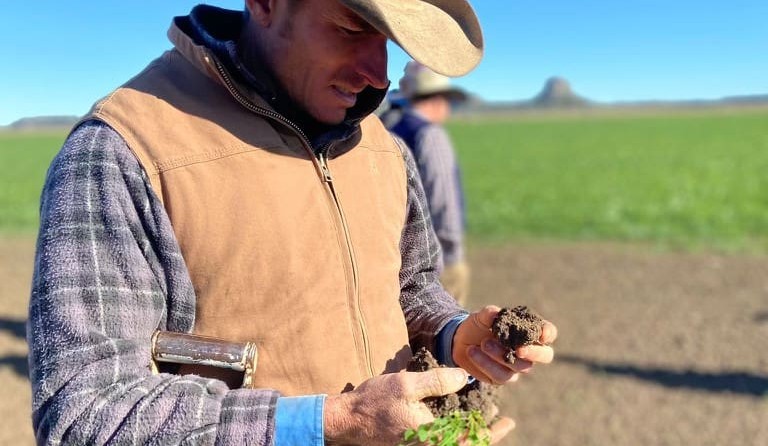 Biological fertilisers produce response in CQ Organic pastures, field day hears