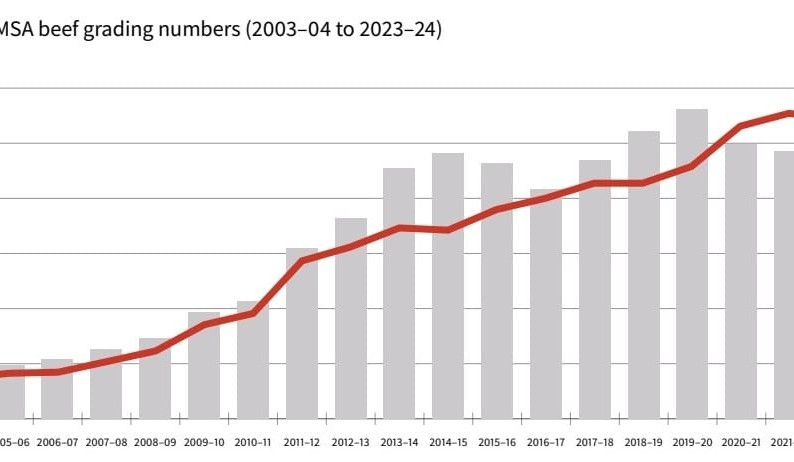 MSA grading hits record 3.64m head in 2023-24; index scores continue to rise