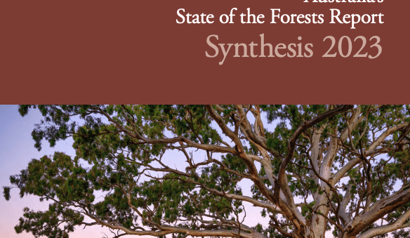 Australia’s forest area increases 750,000ha over five years: ABARES