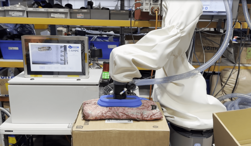 Red meat R&D: Collaborative robot trials improve beef processing efficiency